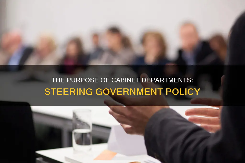 what is the purpose of the the cabinet departments