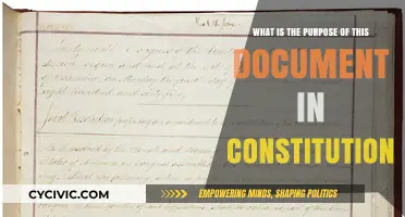 The Document's Constitutional Purpose Explained