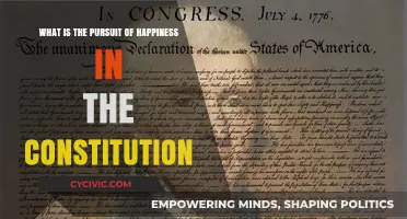 Happiness Pursuit: Constitutional Right or Misinterpretation?