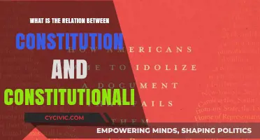 Constitutionalism: The Constitution's Foundation and Future