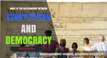 Constitution and Democracy: Partners in Governing
