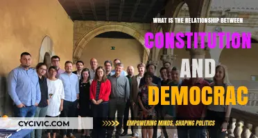 Constitutionalism and Democracy: Partners or Rivals?