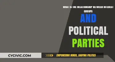 Interest Groups and Political Parties: Allies, Rivals, or Partners?