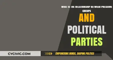 Pressure Groups vs. Political Parties: Allies, Rivals, or Both?
