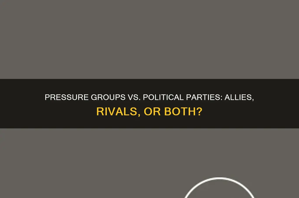 what is the relationship between pressure groups and political parties