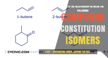 Understanding Constitutional Isomers and Their Intricate Relationships