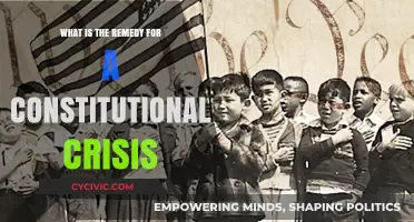 Avoiding Constitutional Crisis: Understanding the Remedy