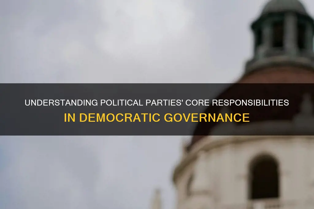 what is the responsibility of a political party