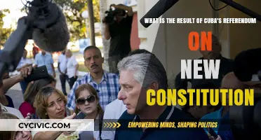 Cuba's New Constitution: Referendum Results and What's Next