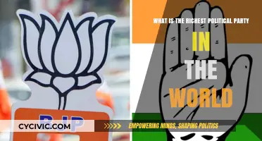 Exploring the World's Wealthiest Political Party: Power, Influence, and Finances