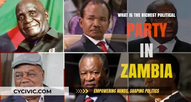 Zambia's Wealthiest Political Party: Unveiling the Financial Powerhouse Dominating Politics