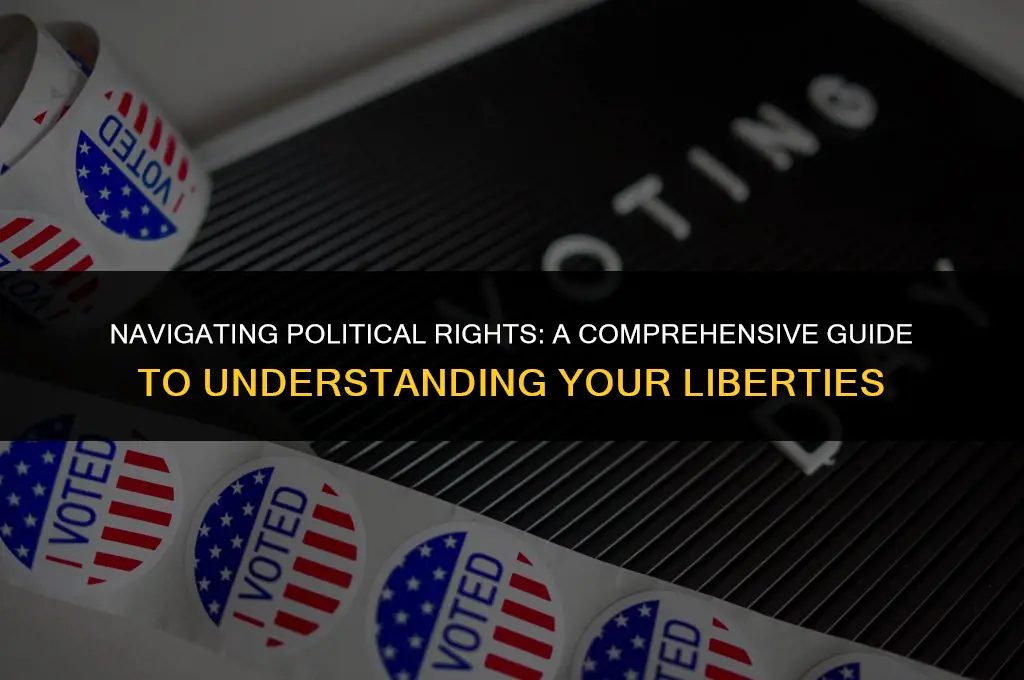 what is the right in politics