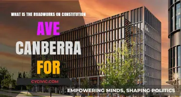 Canberra's Constitution Avenue Upgrade: What's the Holdup?