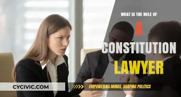 Constitutional Lawyers: Defending Our Fundamental Rights