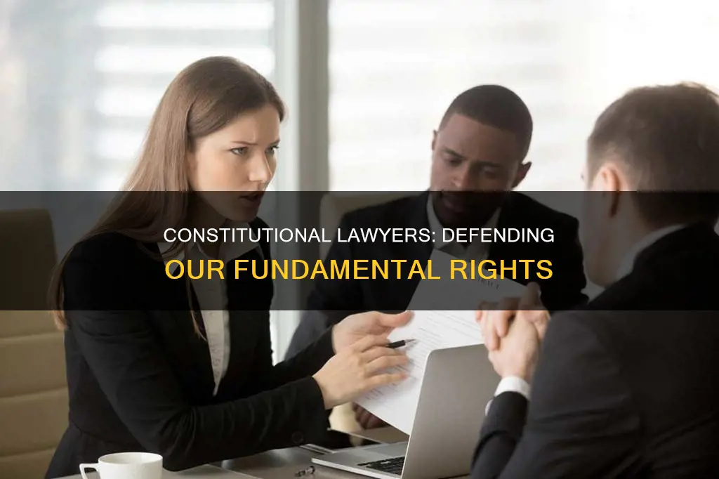 what is the role of a constitutional lawyer