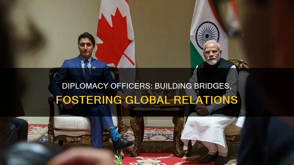 what is the role of a diplomacy officer