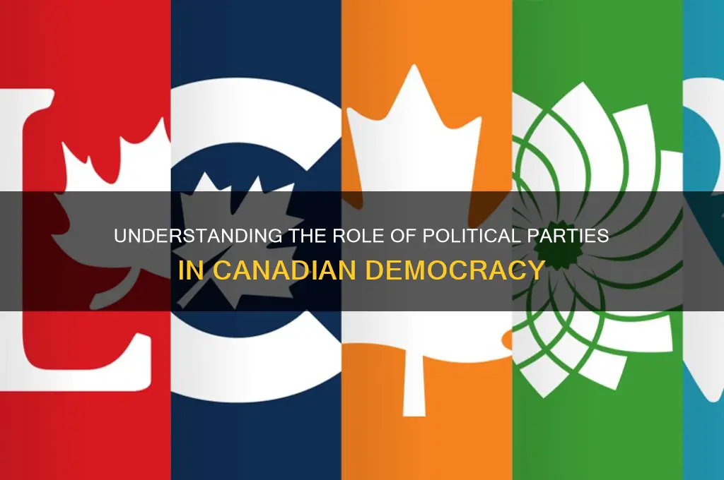 what is the role of a political party in canada