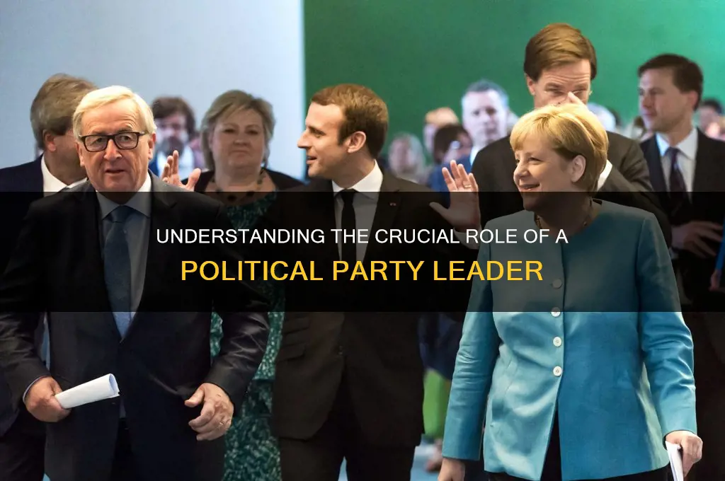 what is the role of a political party leader