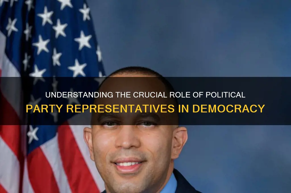what is the role of a political party representative