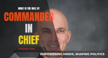 Commander in Chief: Ultimate Military Leadership and Authority