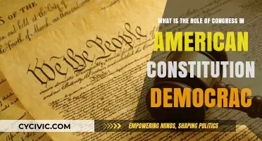 Congress: Democracy's Constitutional Cornerstone