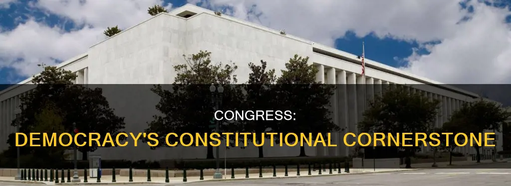 what is the role of congress in american constitutional democracy