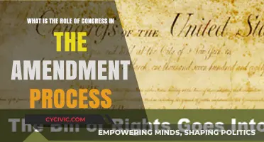 Congress's Role in Amending the Constitution