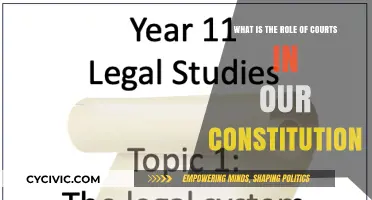 Courts: Our Constitution's Guardian and Interpreter
