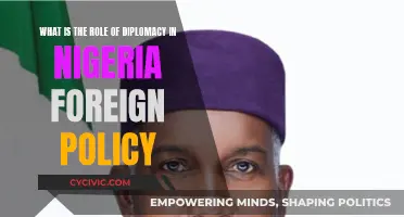 Diplomacy's Role in Nigeria's Foreign Policy Decisions