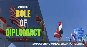 Diplomacy's Role: Shaping Global Relations and Peace
