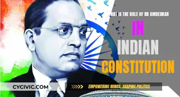The Father of India's Constitution: Dr. Ambedkar's Role