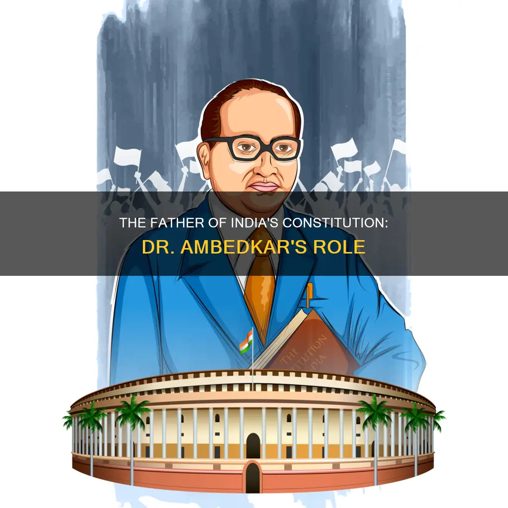 what is the role of dr ambedkar in indian constitution