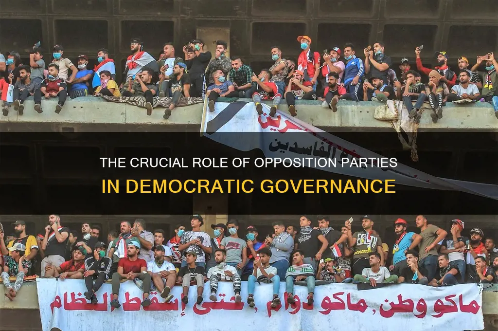 what is the role of opposition political parties
