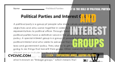 Political Parties and Interest Groups: Shaping Policies and Public Opinion