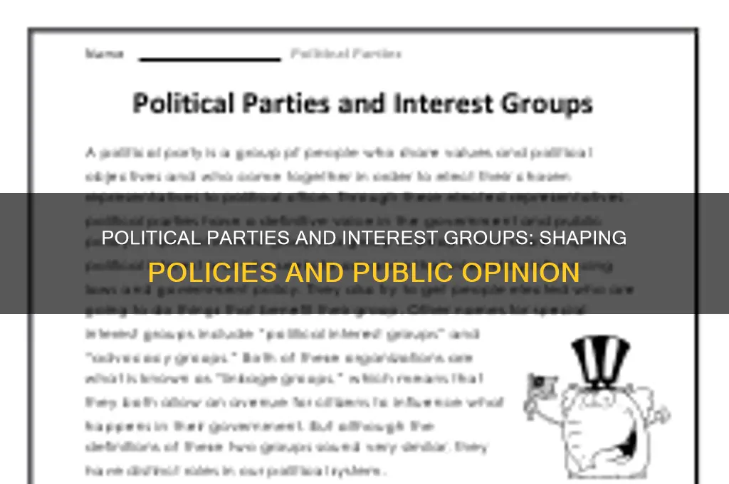 what is the role of political parties and interest groups