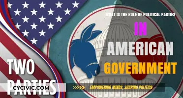 Understanding Political Parties' Influence in American Government and Democracy