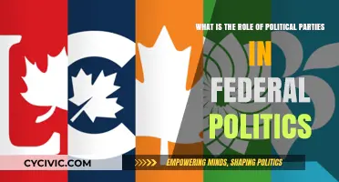 Understanding Political Parties' Influence in Federal Governance and Policy-Making