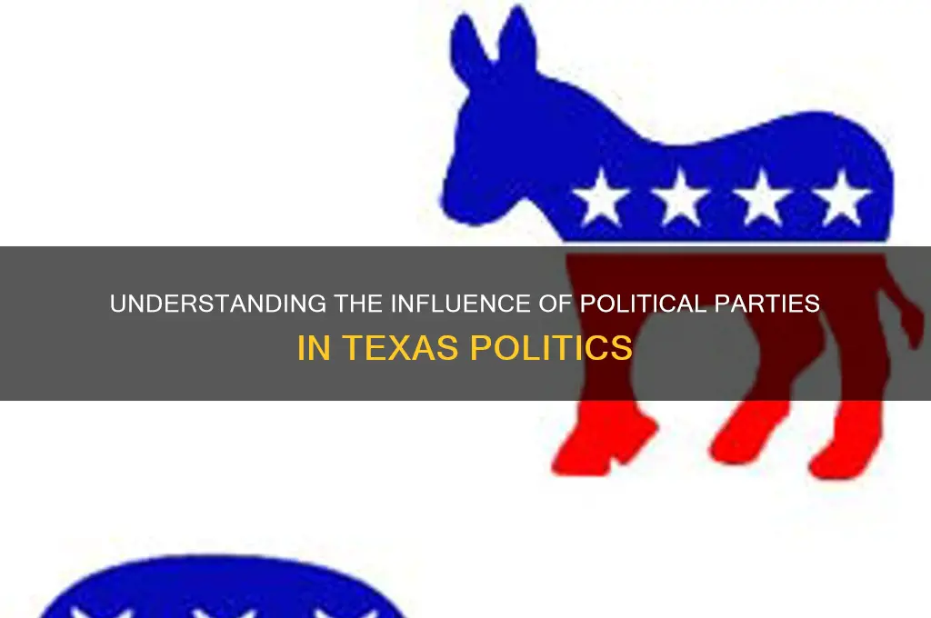 what is the role of political parties in texas