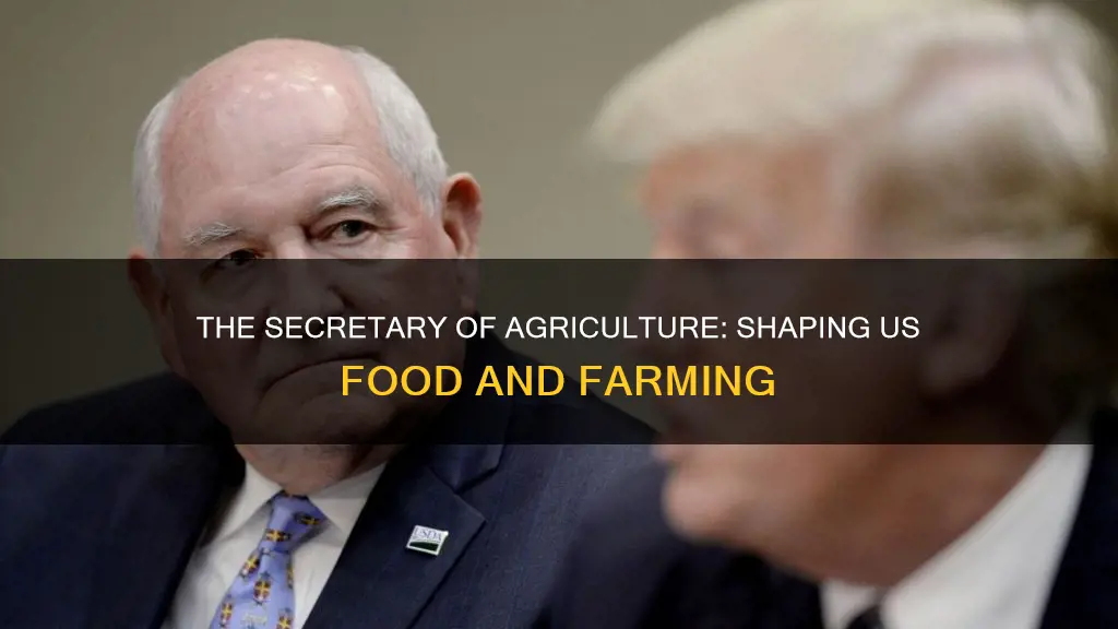 what is the role of the secretary of agriculture us