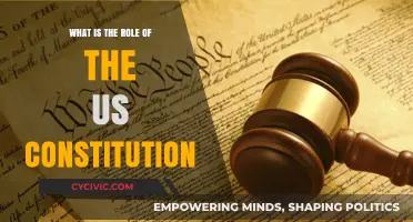 Understanding the US Constitution's Role and Relevance