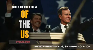 The US Vice President: A Crucial Supporting Role