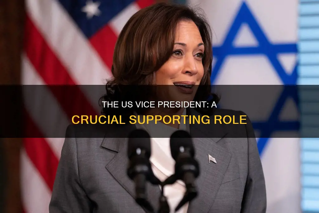 what is the role of the vp of the us