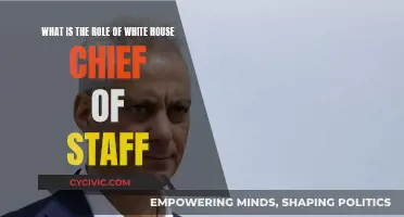 Chief Strategist: White House's Right-Hand Man