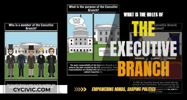 Understanding the Executive Branch: Their Roles and Responsibilities