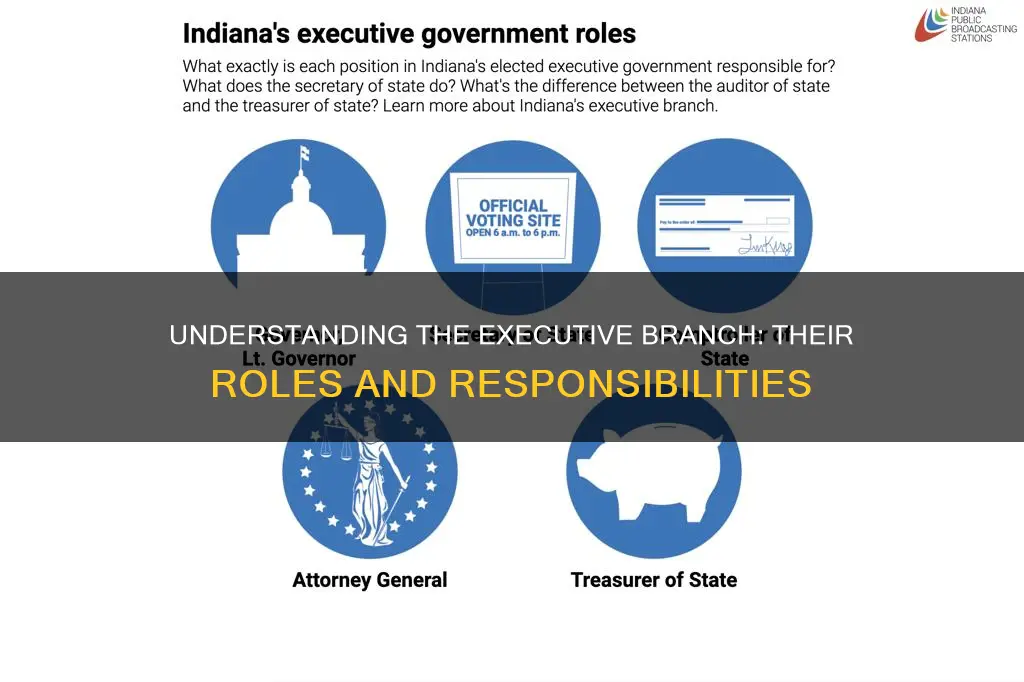 what is the roles of the executive branch