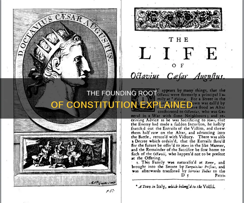 what is the root word of the term constitution