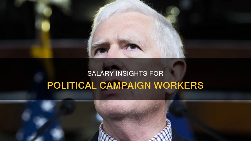 what is the salary of a political campaign worker