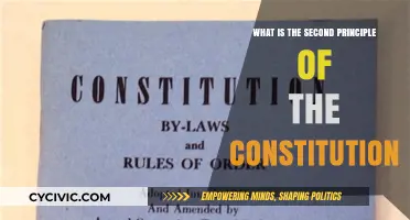 Understanding the Constitution: The Supremacy Clause Explained