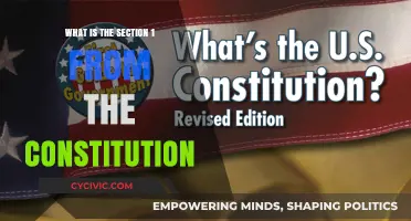 Understanding the Constitution's Foundation