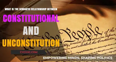 Understanding the Constitutional Dichotomy: Semantics of Law